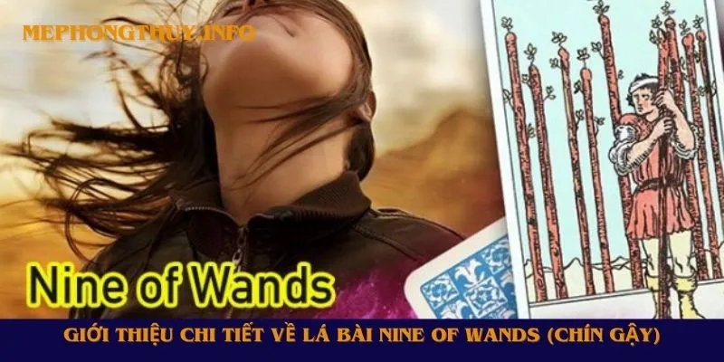 Giới thiệu chi tiết về lá bài Nine of Wands (Chín Gậy)