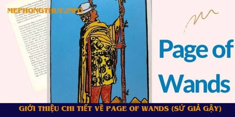 Giới thiệu chi tiết về Page of Wands (Sứ Giả Gậy)