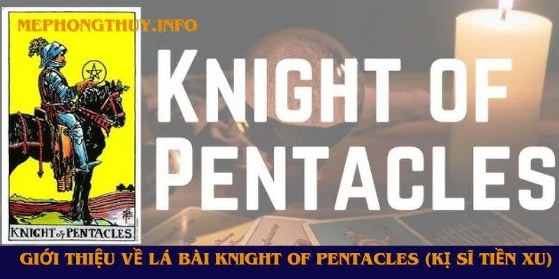 Giới thiệu về lá bài Knight of Pentacles (Kị Sĩ Tiền Xu)