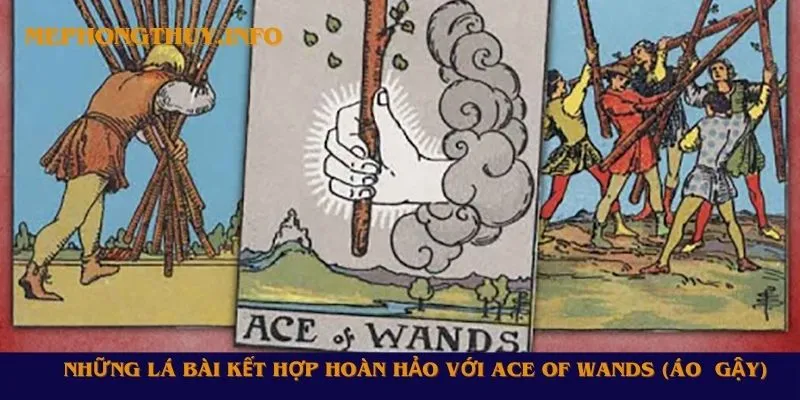 Những lá bài kết hợp hoàn hảo với Ace of Wands (Áo Gậy)