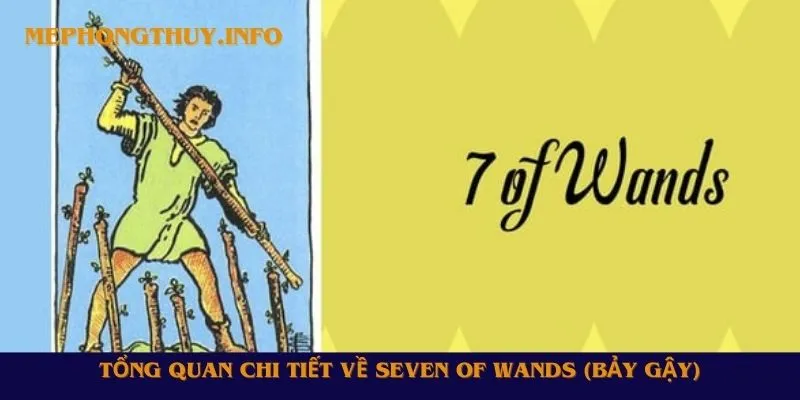 Tổng quan chi tiết về Seven of Wands (Bảy Gậy)