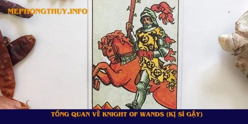 Tổng quan về Knight of Wands (Kị Sĩ Gậy)