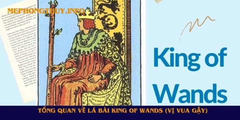 Tổng quan về lá bài King of Wands (Vị Vua Gậy)