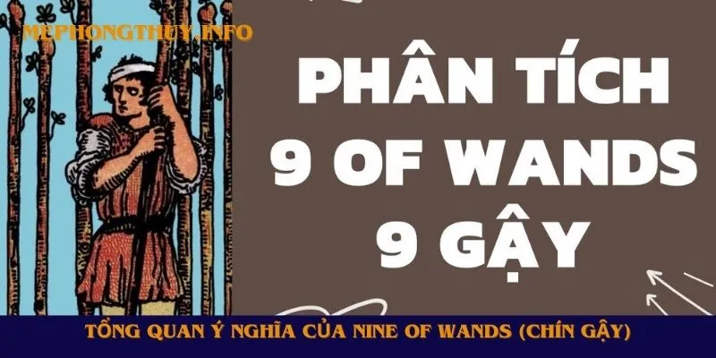 Tổng quan ý nghĩa của Nine of Wands (Chín Gậy)