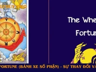 Wheel of Fortune (Bánh Xe Số Phận)