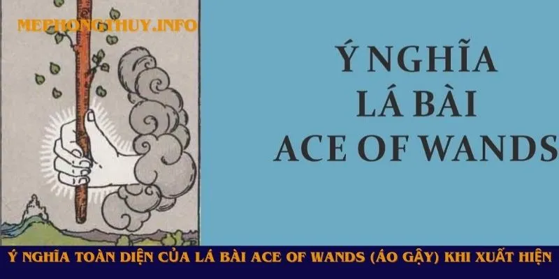 Ý nghĩa toàn diện của lá bài Ace of Wands (Áo Gậy) khi xuất hiện